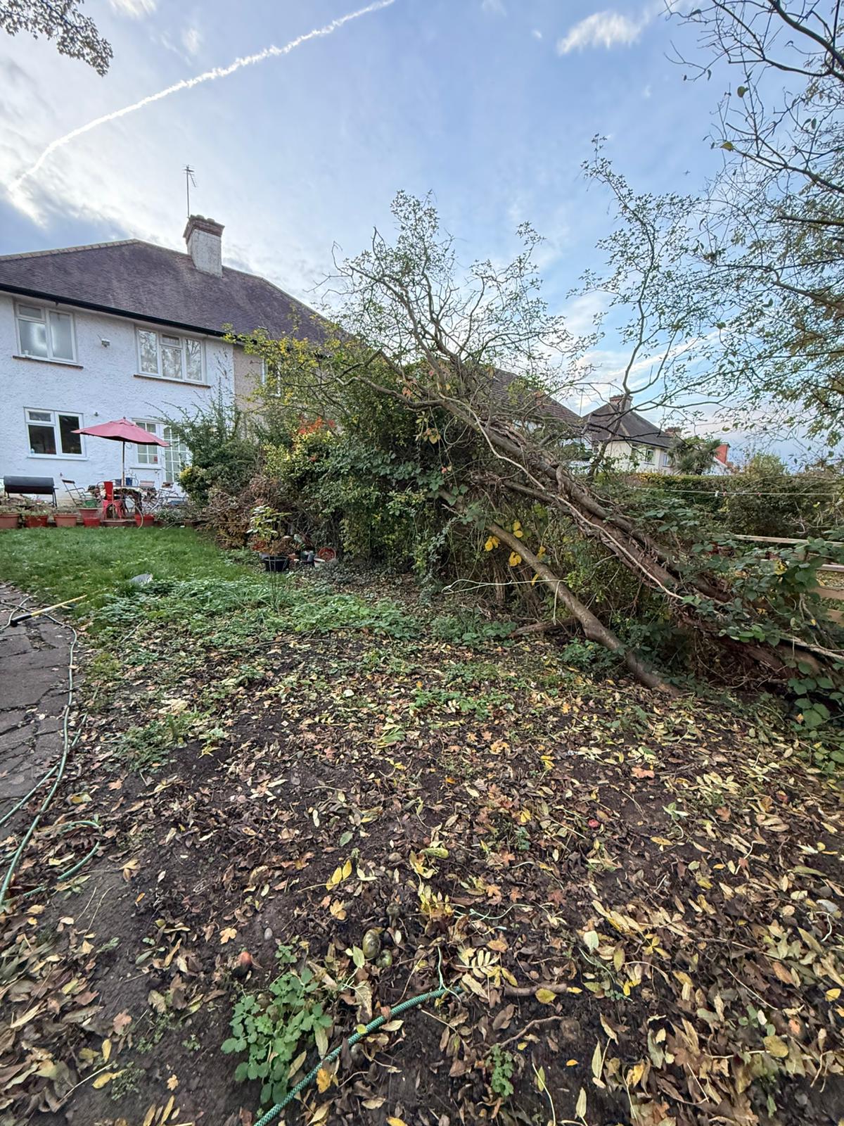 Garden clearance & fence installation before completion